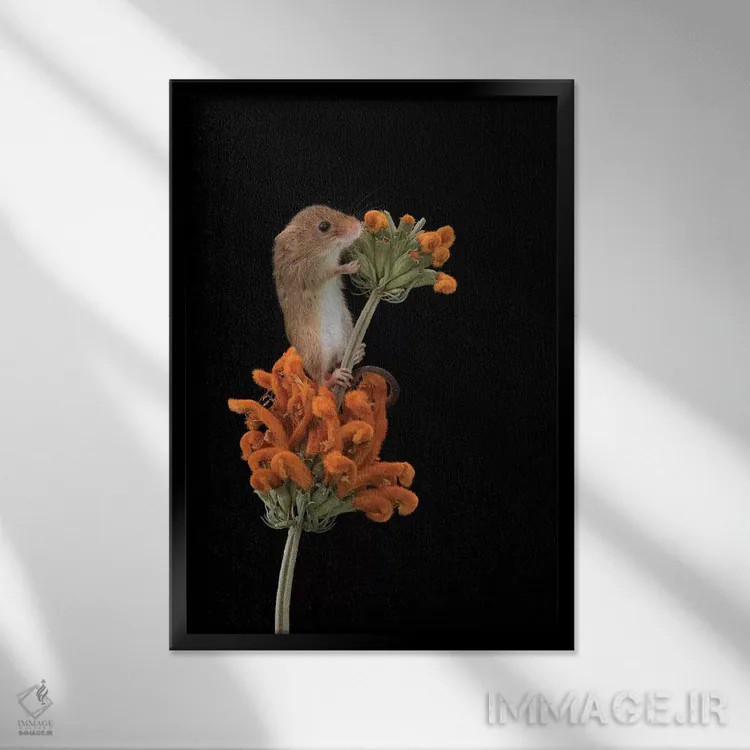 تابلو مدرن ردپای نارنجی اثر باور میسون - نمای قابدار مشکی