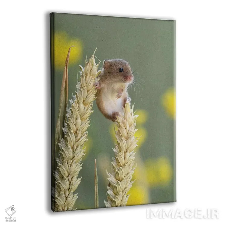 تابلو مدرن فقط در حال خوش گذرانی اثر باور میسون - نمای پرسپکتیو محصول