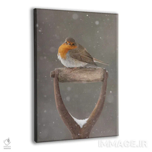 تابلو دکوراتیو ژست گیر کوچک اثر باور میسون - نمای پرسپکتیو محصول