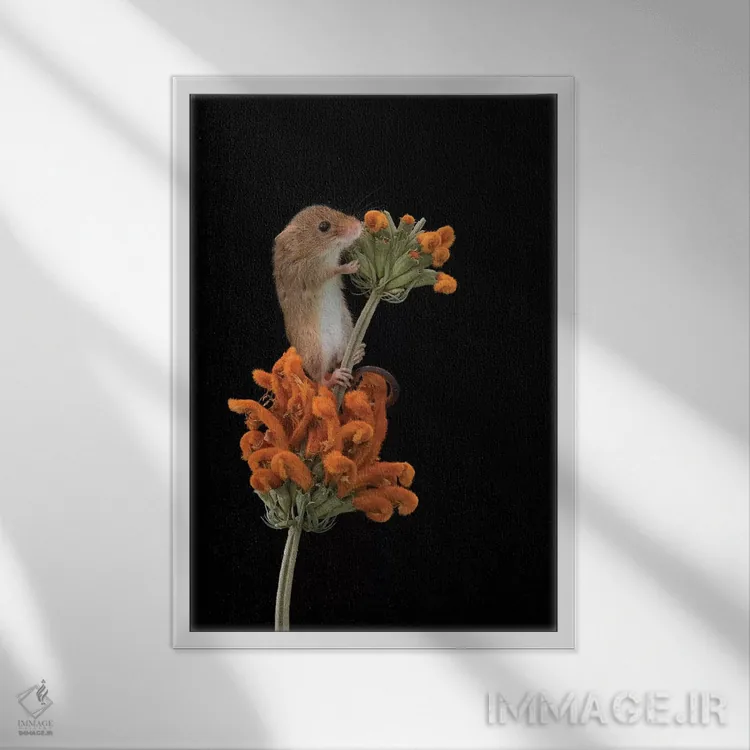 تابلو مدرن ردپای نارنجی اثر باور میسون - نمای قابدار سفید