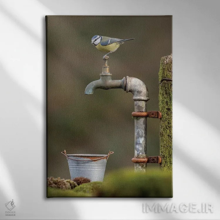 تابلو مدرن گیر کرده است اثر باور میسون - نمای روبهرو روی دیوار