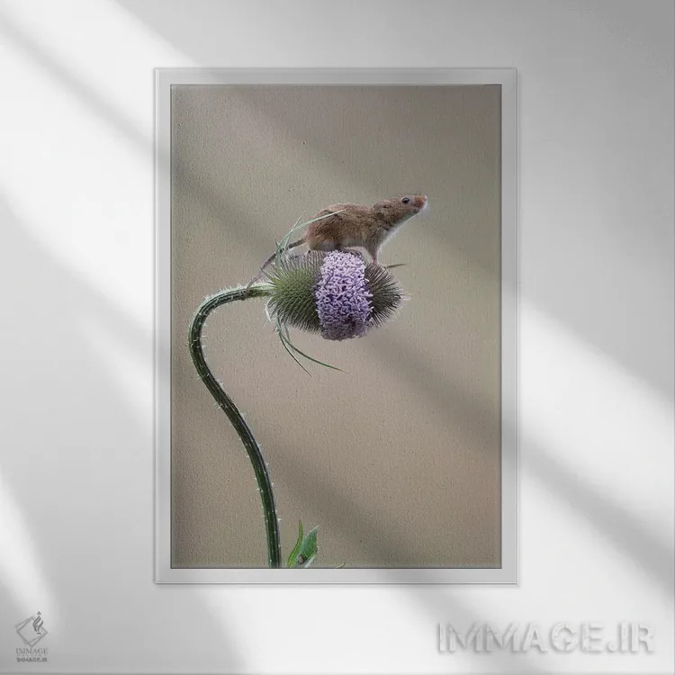 تابلو دکوراتیو موفق شدم اثر باور میسون - نمای قابدار سفید