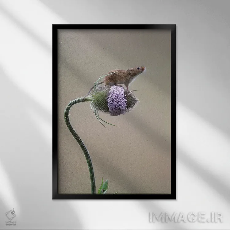 تابلو دکوراتیو موفق شدم اثر باور میسون - نمای قابدار مشکی