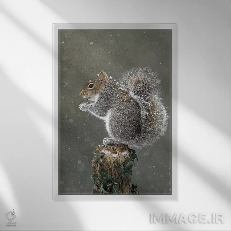 تابلو دکوراتیو اینجا بالا خیلی سرد است اثر باور میسون - نمای قابدار سفید