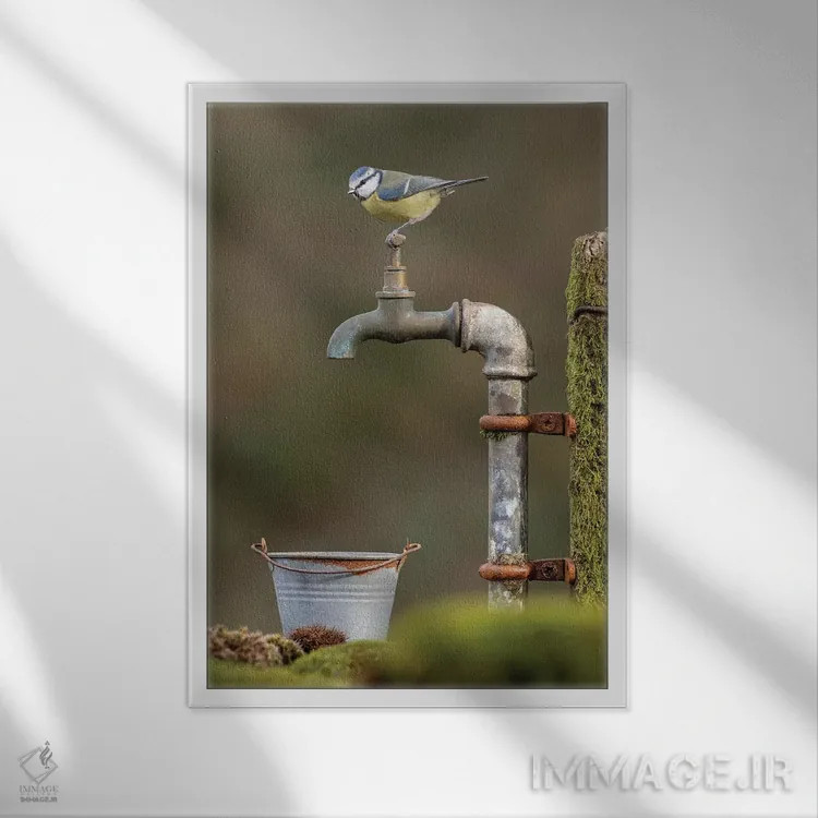 تابلو مدرن گیر کرده است اثر باور میسون - نمای قابدار سفید