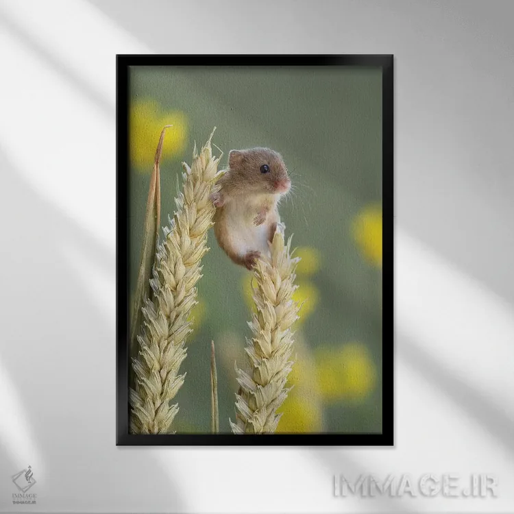 تابلو مدرن فقط در حال خوش گذرانی اثر باور میسون - نمای قابدار مشکی