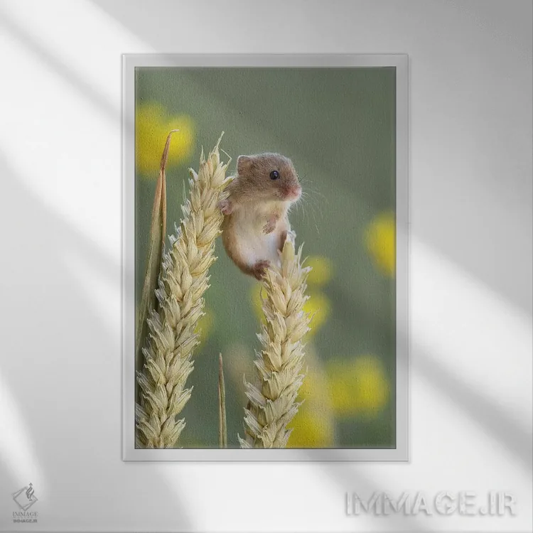 تابلو مدرن فقط در حال خوش گذرانی اثر باور میسون - نمای قابدار سفید