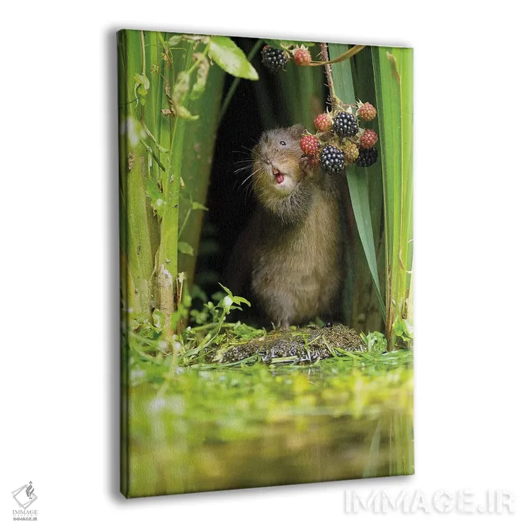 تابلو دکوراتیو یکی از پنج تای روزانه اثر باور میسون - نمای پرسپکتیو محصول