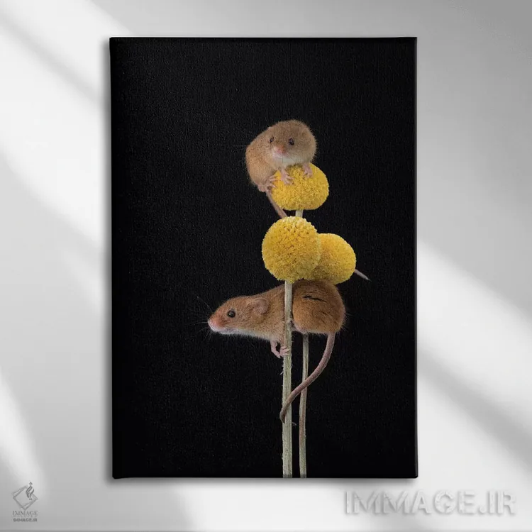 تابلو دکوراتیو زرد ملایم اثر باور میسون - نمای روبهرو روی دیوار