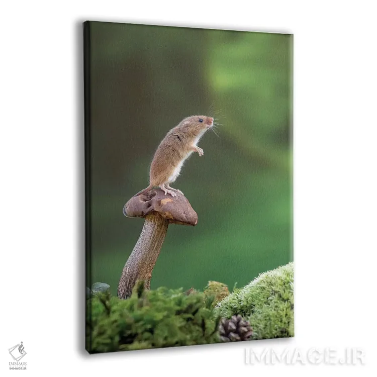 تابلو دکوراتیو در حال مراقبت اثر باور میسون - نمای پرسپکتیو محصول