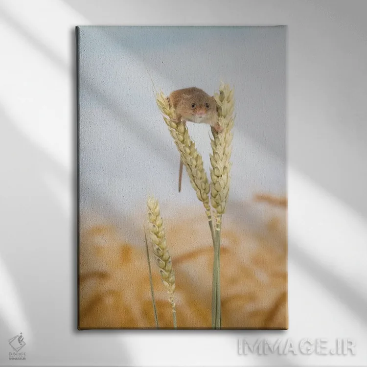 تابلو مدرن اووه سلام! اثر باور میسون - نمای روبهرو روی دیوار
