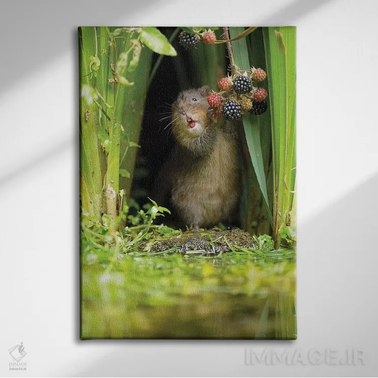 تابلو دکوراتیو یکی از پنج تای روزانه اثر باور میسون - نمای روبهرو روی دیوار