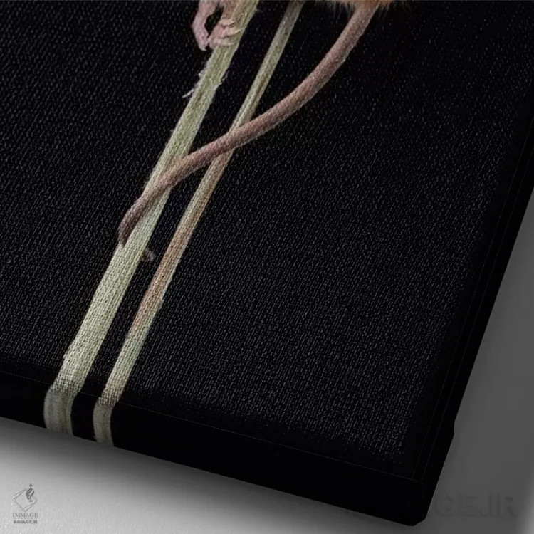 تابلو دکوراتیو زرد ملایم اثر باور میسون - نمای نزدیک بافت بوم