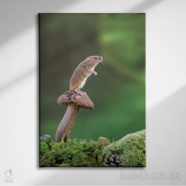 تابلو دکوراتیو در حال مراقبت اثر باور میسون - نمای روبهرو روی دیوار