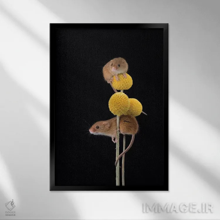 تابلو دکوراتیو زرد ملایم اثر باور میسون - نمای قابدار مشکی