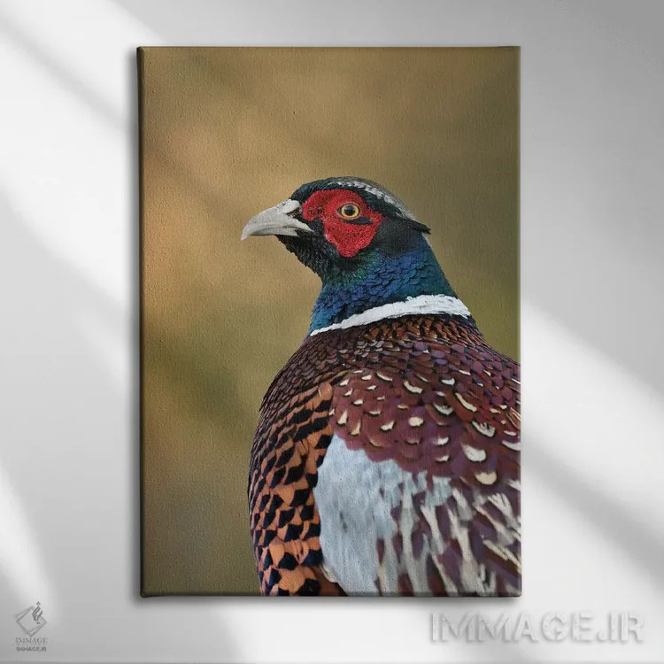 تابلو دکوراتیو قرقاول پاییزی اثر باور میسون - نمای روبهرو روی دیوار