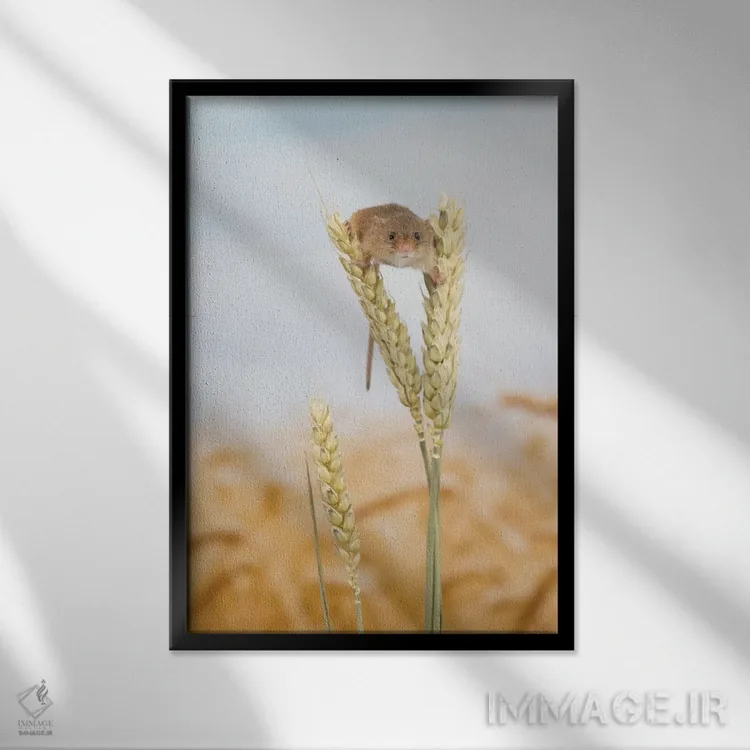 تابلو مدرن اووه سلام! اثر باور میسون - نمای قابدار مشکی