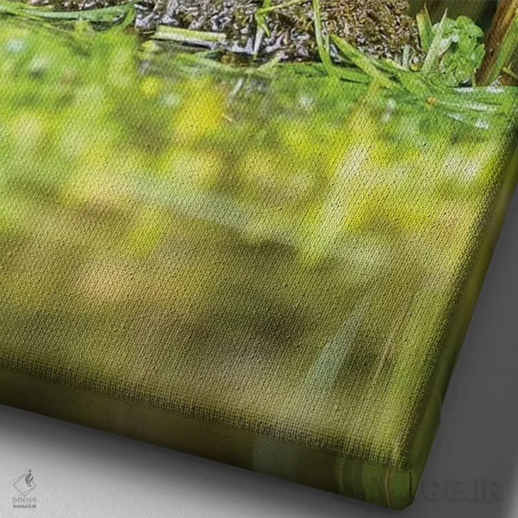 تابلو دکوراتیو یکی از پنج تای روزانه اثر باور میسون - نمای نزدیک بافت بوم