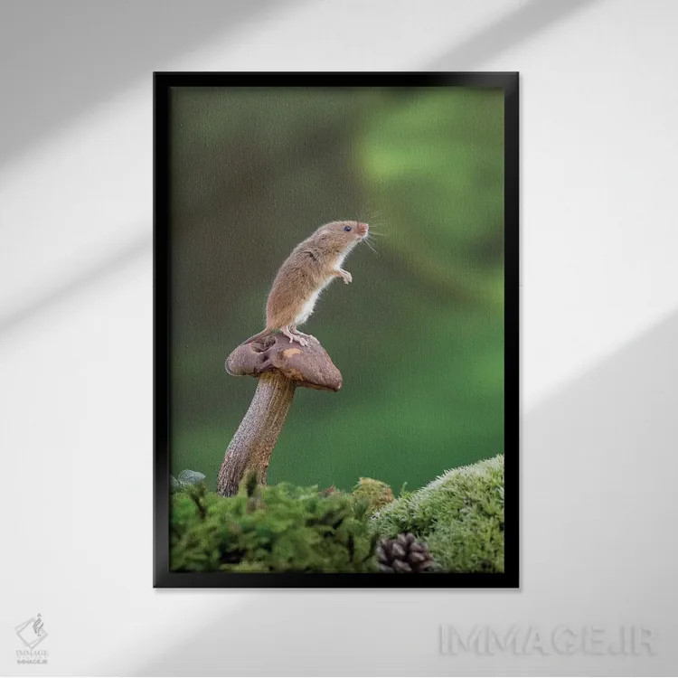 تابلو دکوراتیو در حال مراقبت اثر باور میسون - نمای قابدار مشکی