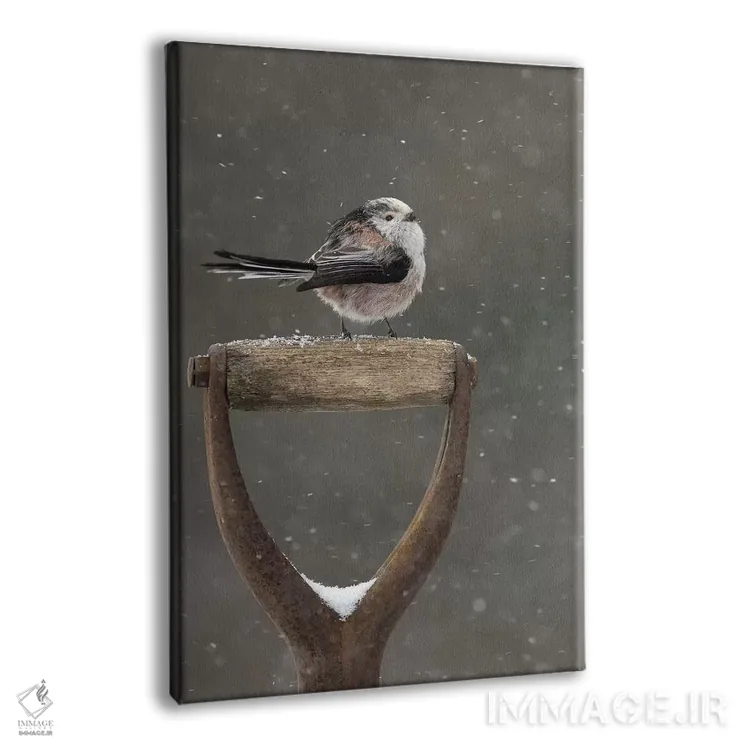 تابلو دکوراتیو مدتی استراحت کردن اثر باور میسون - نمای پرسپکتیو محصول