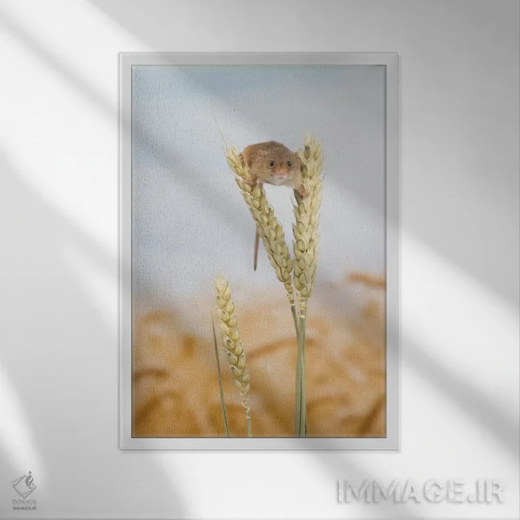 تابلو مدرن اووه سلام! اثر باور میسون - نمای قابدار سفید