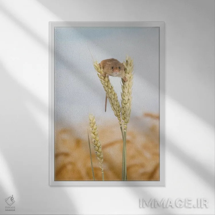 تابلو مدرن اووه سلام! اثر باور میسون - نمای قابدار سفید