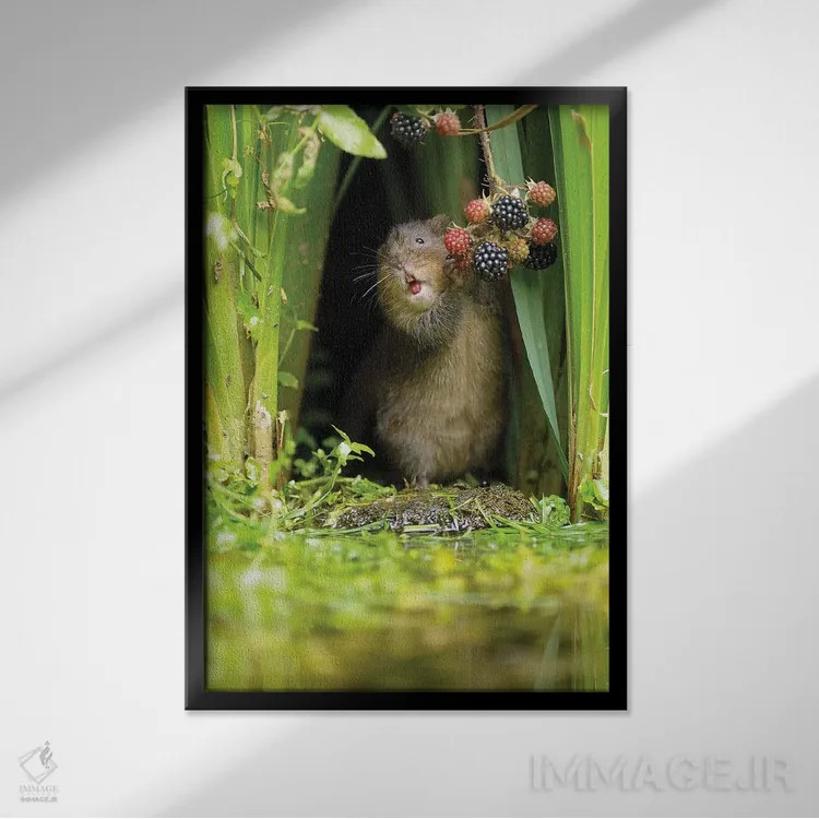 تابلو دکوراتیو یکی از پنج تای روزانه اثر باور میسون - نمای قابدار مشکی