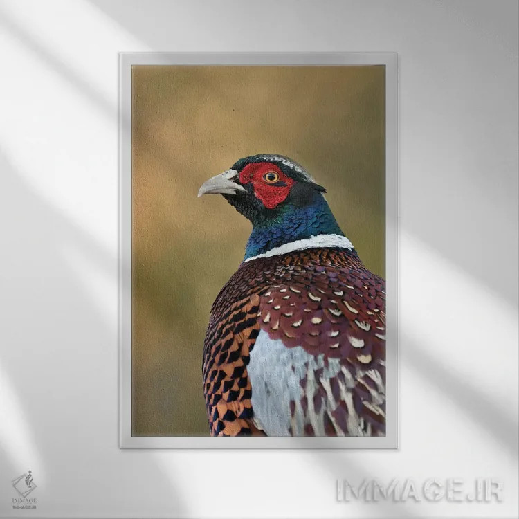 تابلو دکوراتیو قرقاول پاییزی اثر باور میسون - نمای قابدار سفید