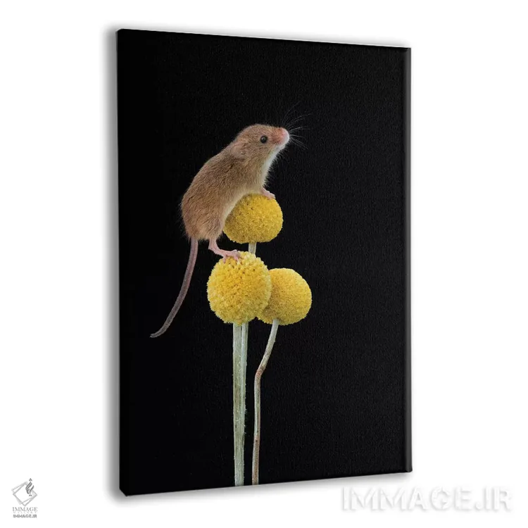 تابلو دکوراتیو برای دوربین لبخند بزن اثر باور میسون - نمای پرسپکتیو محصول