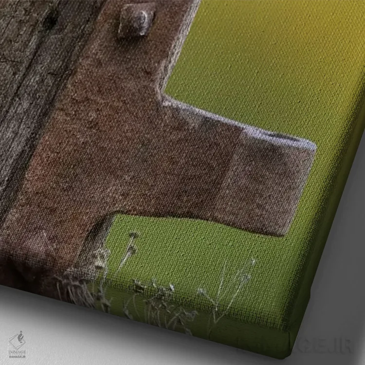 تابلو دکوراتیو جغد کوچک در حال استراحت اثر باور میسون - نمای نزدیک بافت بوم