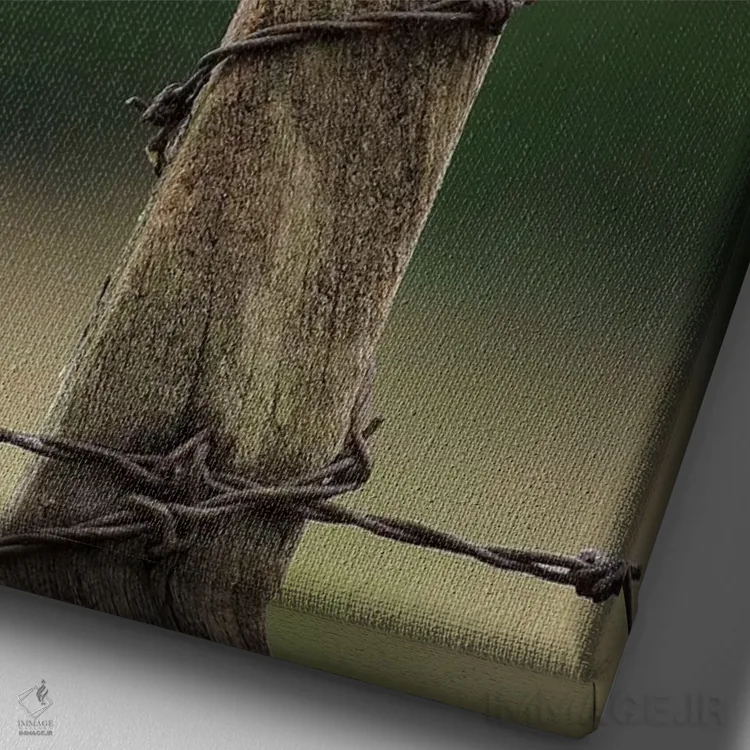 تابلو دکوراتیو جوجه جغد در حال استراحت اثر باور میسون - نمای نزدیک بافت بوم