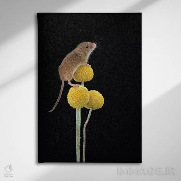 تابلو دکوراتیو برای دوربین لبخند بزن اثر باور میسون - نمای روبهرو روی دیوار