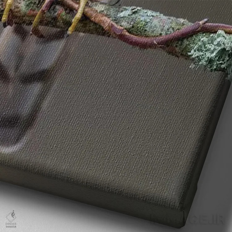 تابلو دکوراتیو شاهین گنجشکی نر ۲ اثر باور میسون - نمای نزدیک بافت بوم