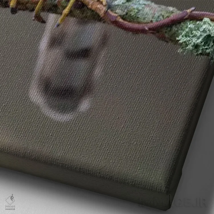 تابلو دکوراتیو شاهین گنجشکی نر ۱ اثر باور میسون - نمای نزدیک بافت بوم