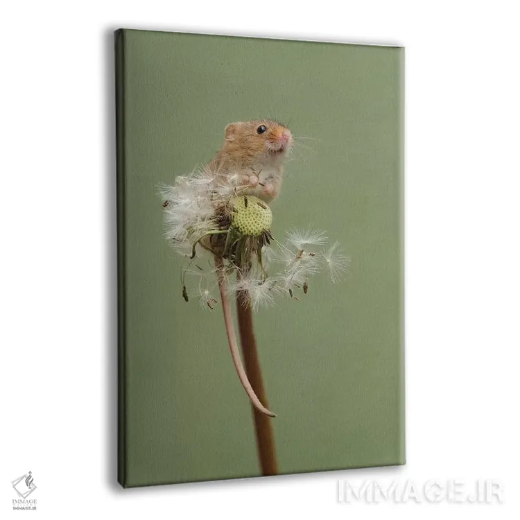 تابلو دکوراتیو خوراک خور شاد اثر باور میسون - نمای پرسپکتیو محصول