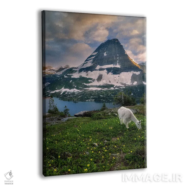 تابلو دکوراتیو کوه بز ۲ اثر دنیس فراتس - نمای پرسپکتیو محصول