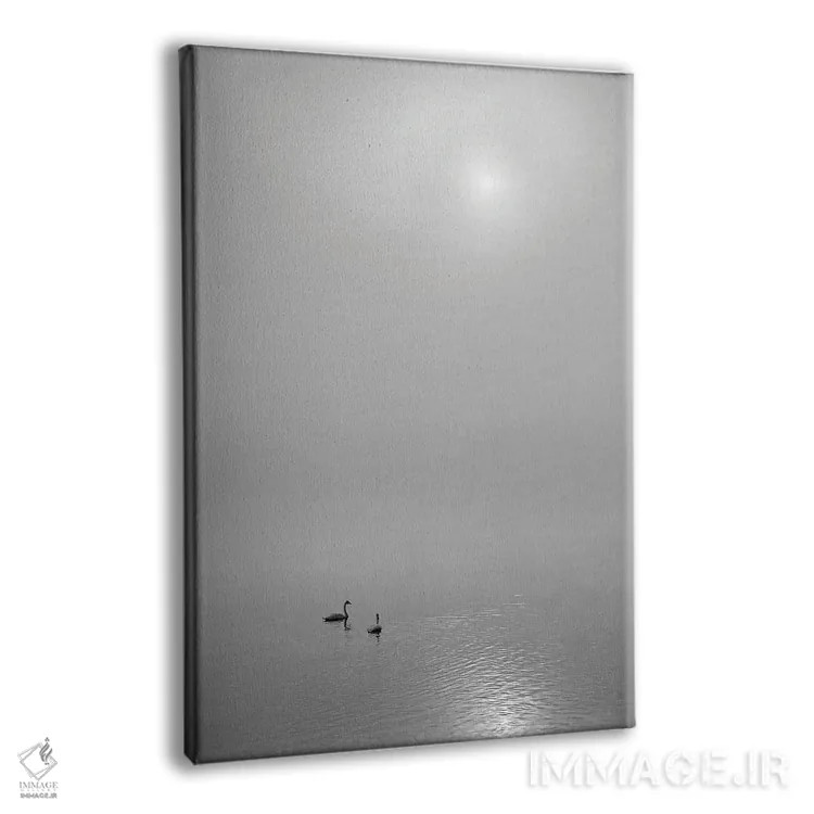 تابلو دکوراتیو طلوع خورشید با قوها اثر دنیس فراتس - نمای پرسپکتیو محصول