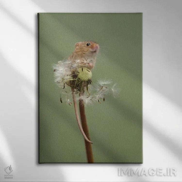 تابلو دکوراتیو خوراک خور شاد اثر باور میسون - نمای روبهرو روی دیوار