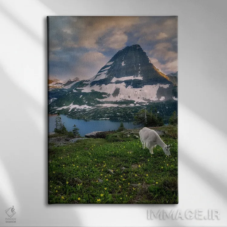 تابلو دکوراتیو کوه بز ۲ اثر دنیس فراتس - نمای روبهرو روی دیوار