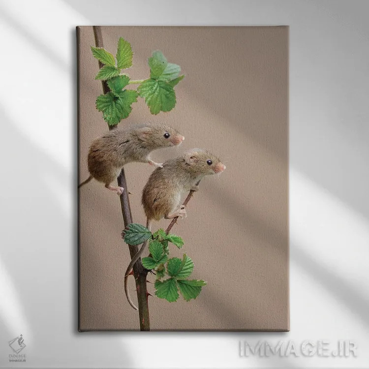 تابلو دکوراتیو تماشاگران کوچک اثر باور میسون - نمای روبهرو روی دیوار