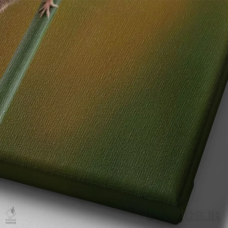 تابلو دکوراتیو خودنما کوچک اثر باور میسون - نمای نزدیک بافت بوم