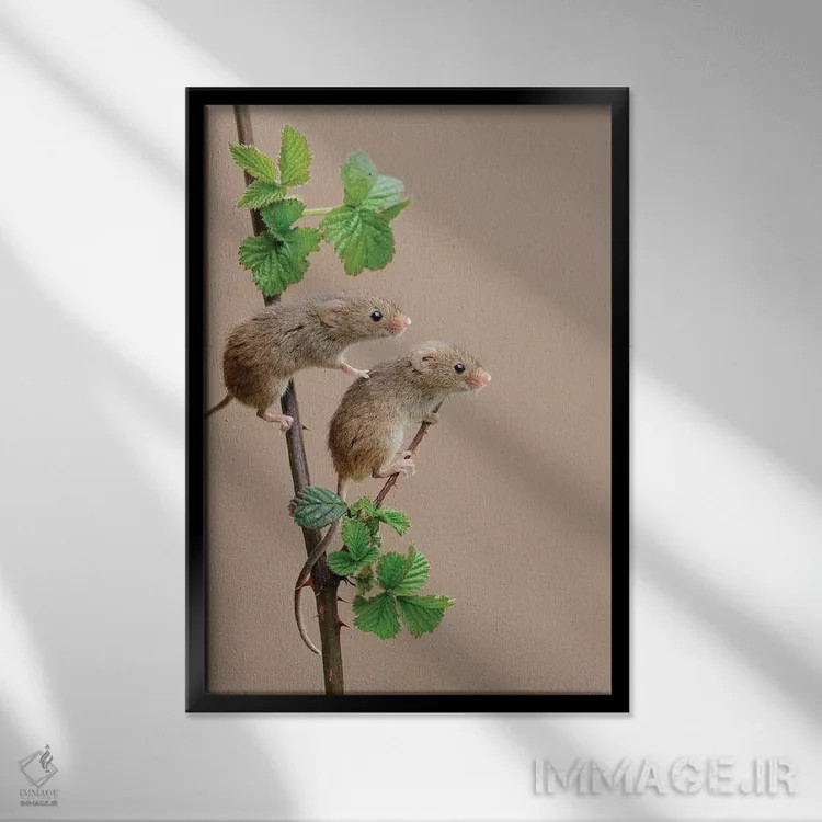 تابلو دکوراتیو تماشاگران کوچک اثر باور میسون - نمای قابدار مشکی