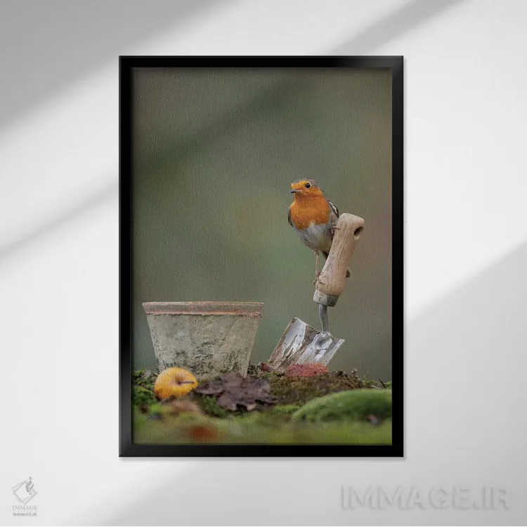 تابلو دکوراتیو دستیار باغبان اثر باور میسون - نمای قابدار مشکی