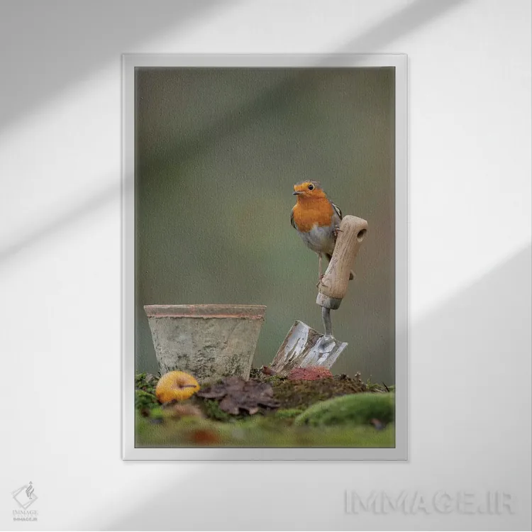 تابلو دکوراتیو دستیار باغبان اثر باور میسون - نمای قابدار سفید