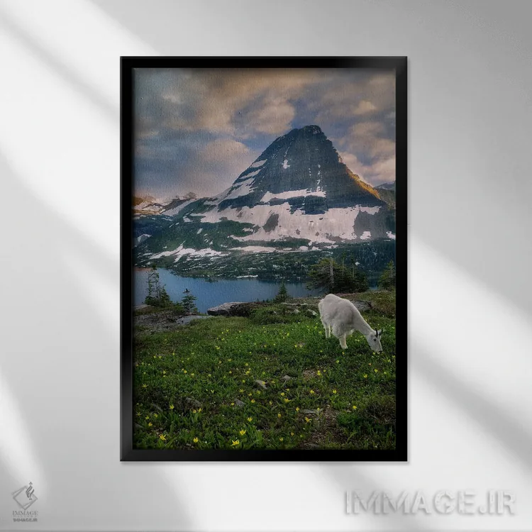 تابلو دکوراتیو کوه بز ۲ اثر دنیس فراتس - نمای قابدار مشکی