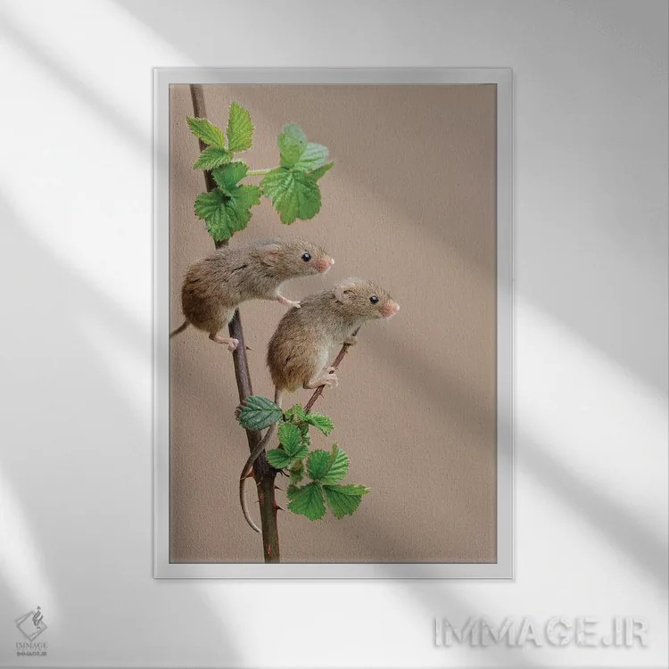 تابلو دکوراتیو تماشاگران کوچک اثر باور میسون - نمای قابدار سفید