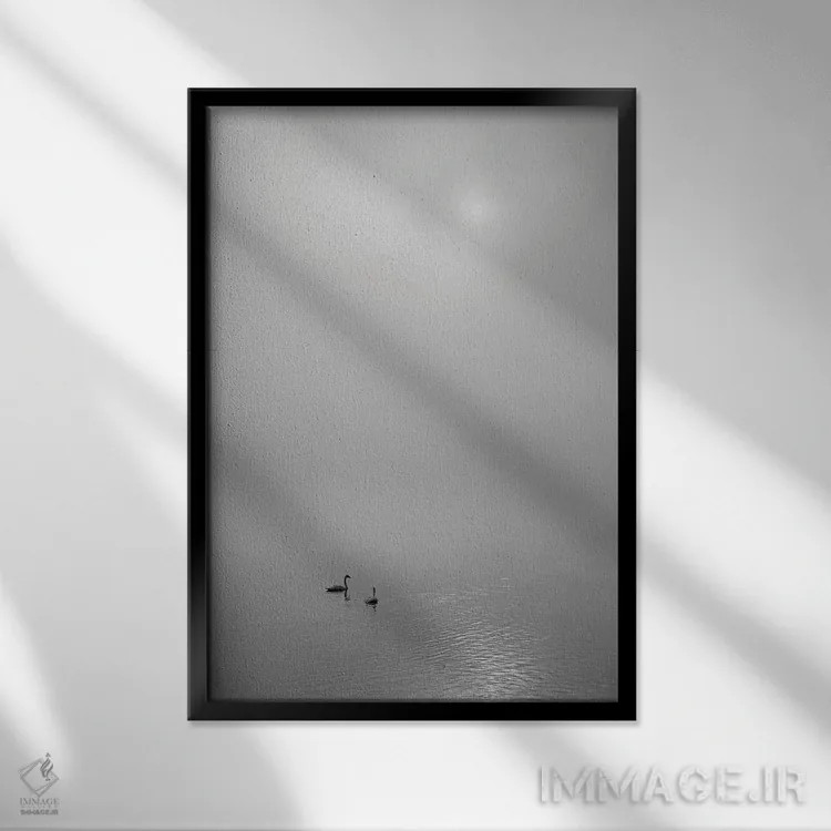 تابلو دکوراتیو طلوع خورشید با قوها اثر دنیس فراتس - نمای قابدار مشکی