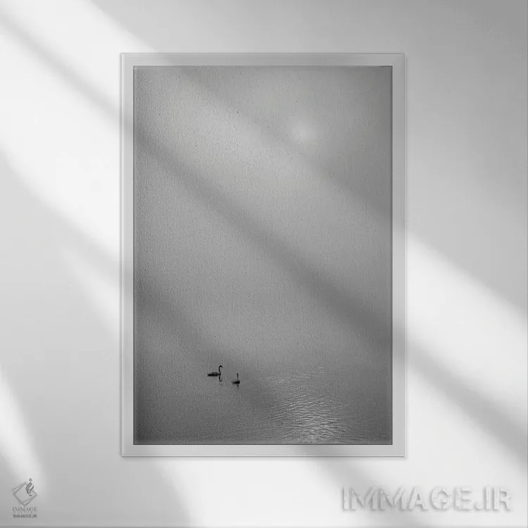 تابلو دکوراتیو طلوع خورشید با قوها اثر دنیس فراتس - نمای قابدار سفید