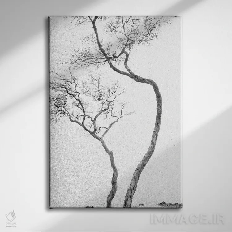 تابلو دکوراتیو تلاش اثر دنیس فراتس - نمای روبهرو روی دیوار