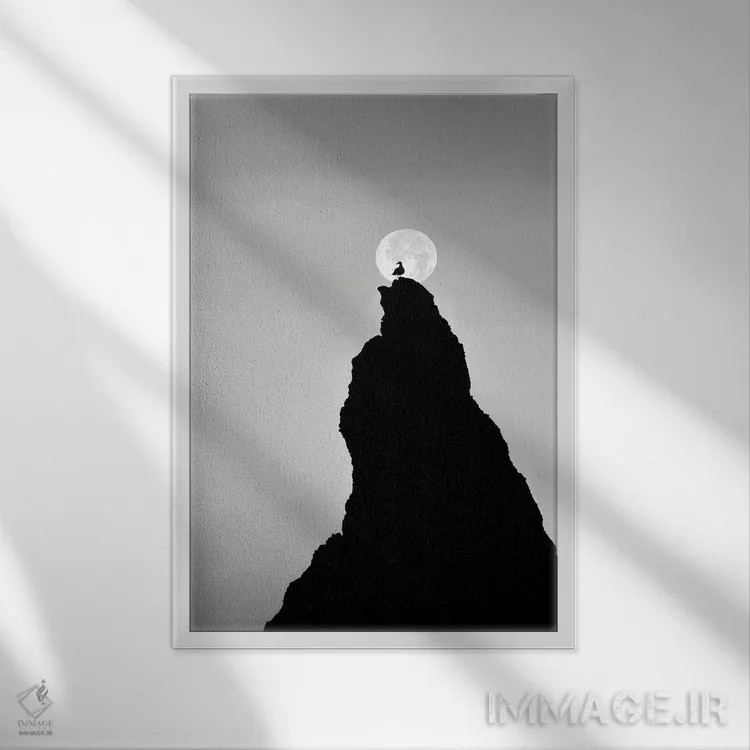 تابلو دکوراتیو پرنده تنها و ماه اثر دنیس فراتس - نمای قابدار سفید
